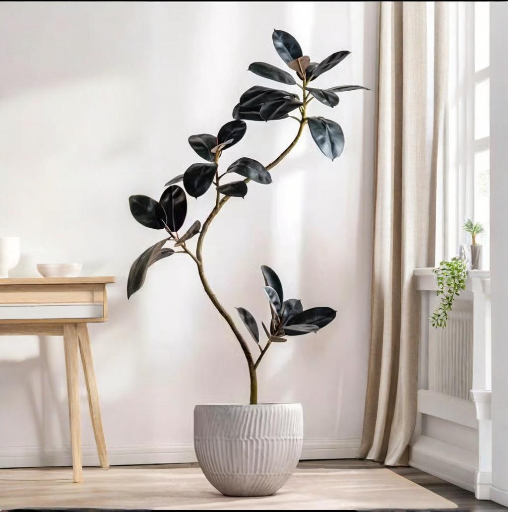 Rubber Plant Ficus - Artificial Plastic Potted Plant Rubber Plant