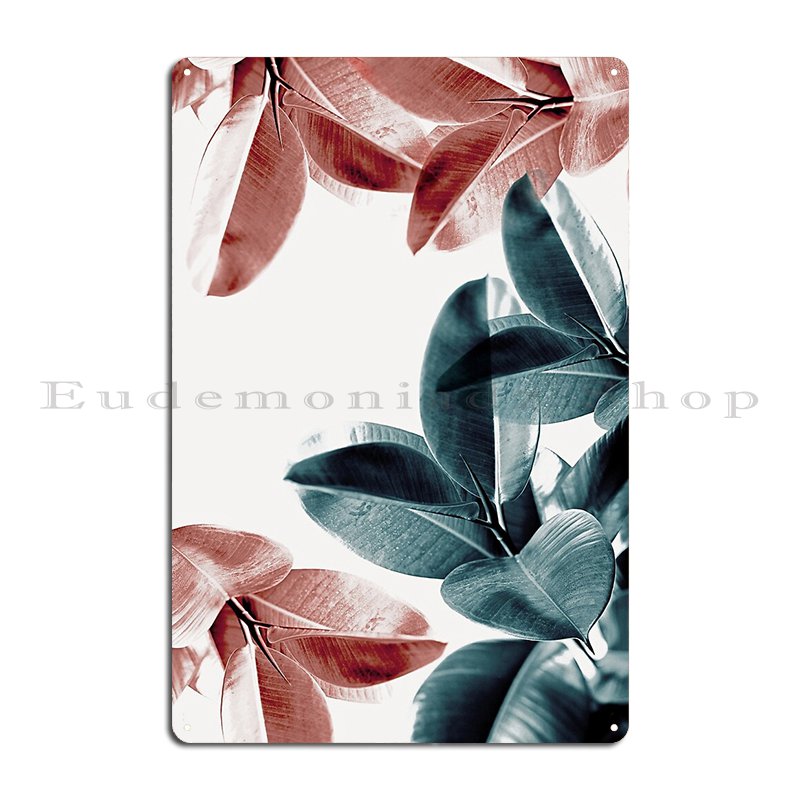 Rubber Plant Leaves Green And  - Rubber Plant Ficus recension och pris